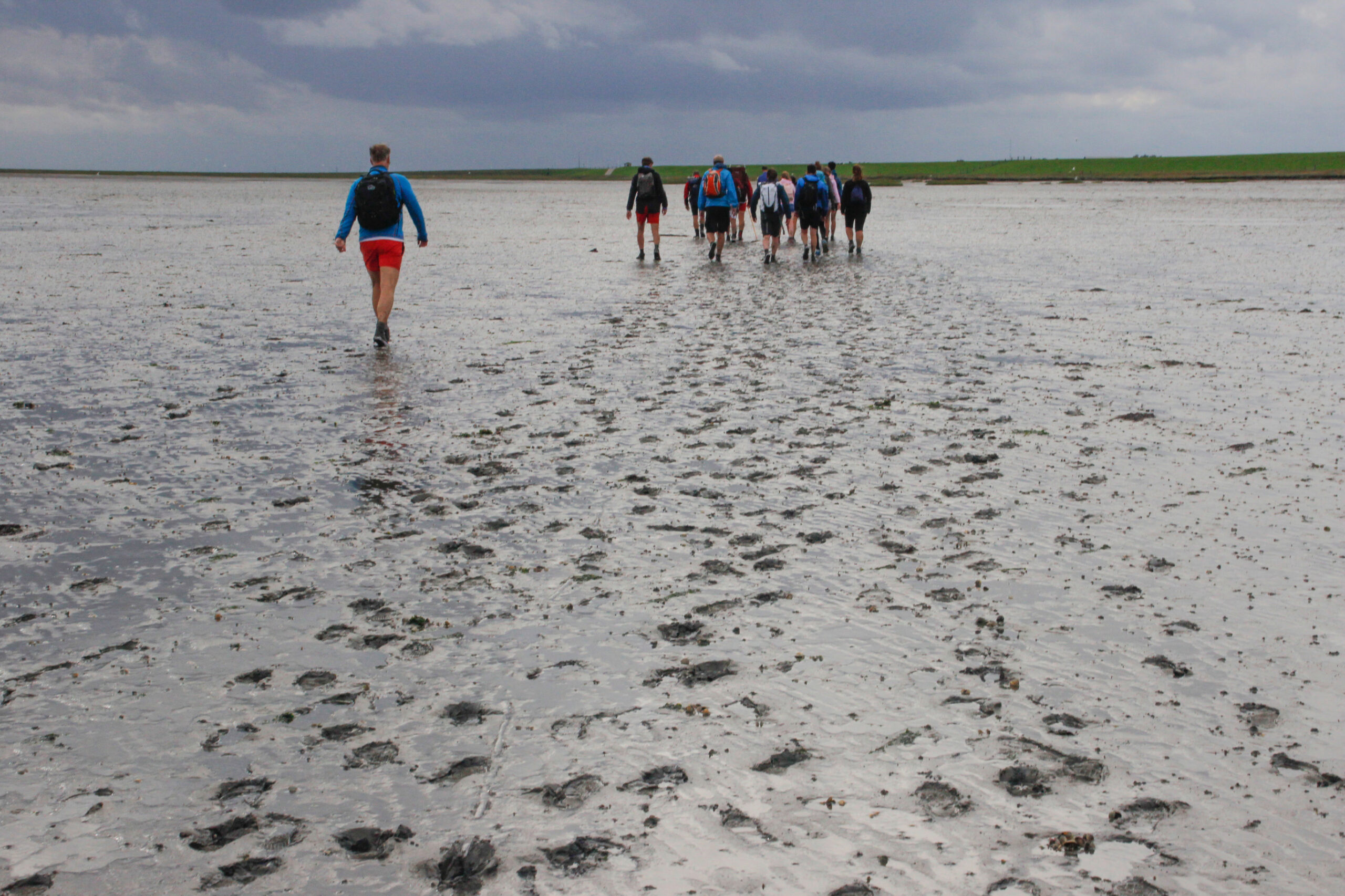 Wadlopen Unesco werelderfgoed Waddenzee